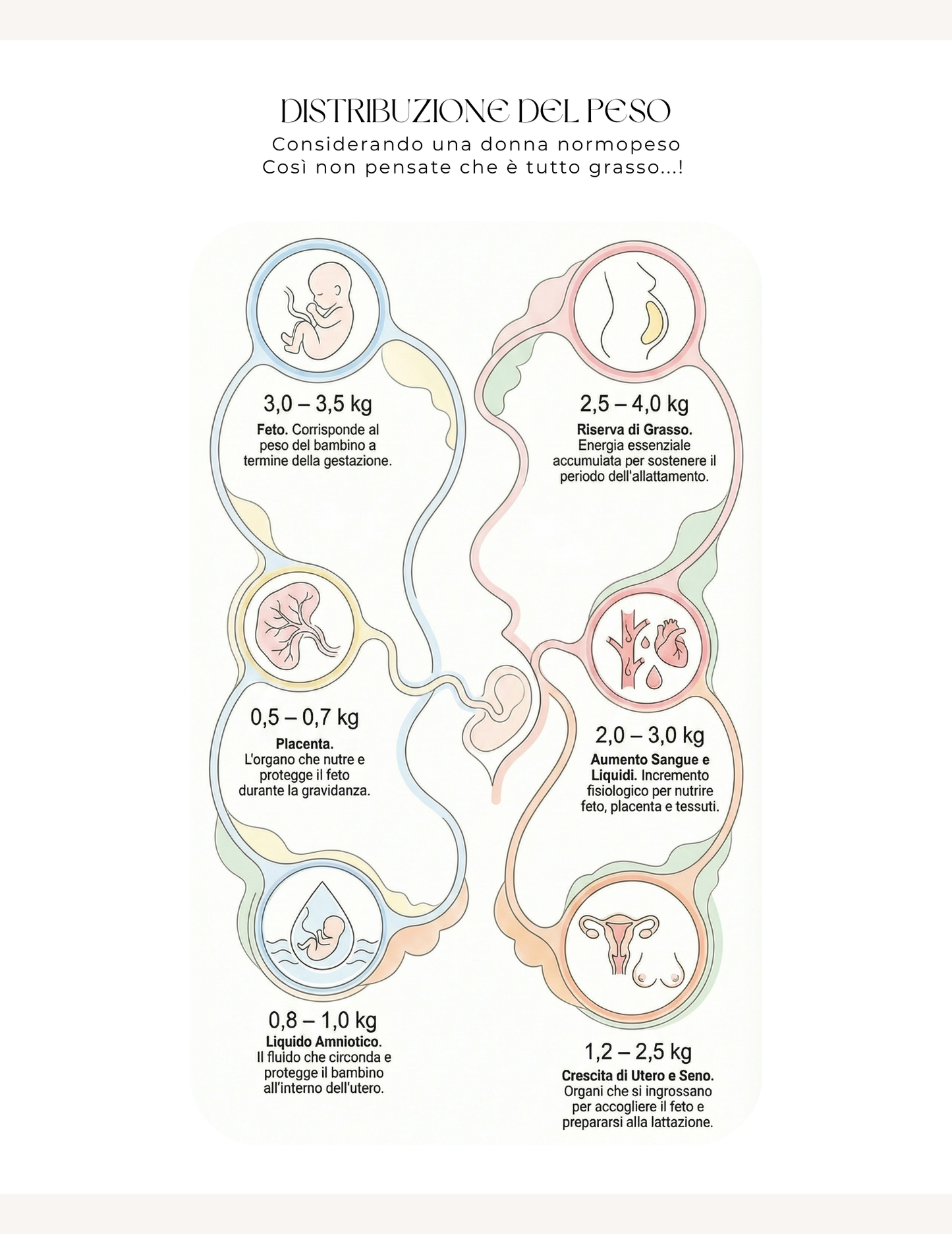 Nutrizione in gravidanza